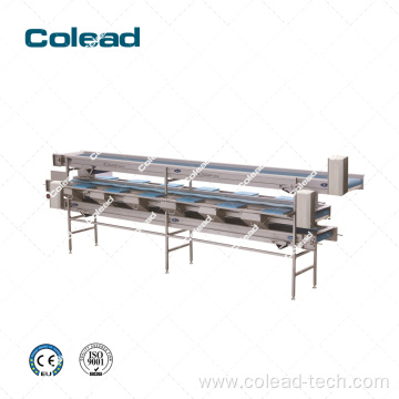 6 station fruit/vegetable picking conveyor